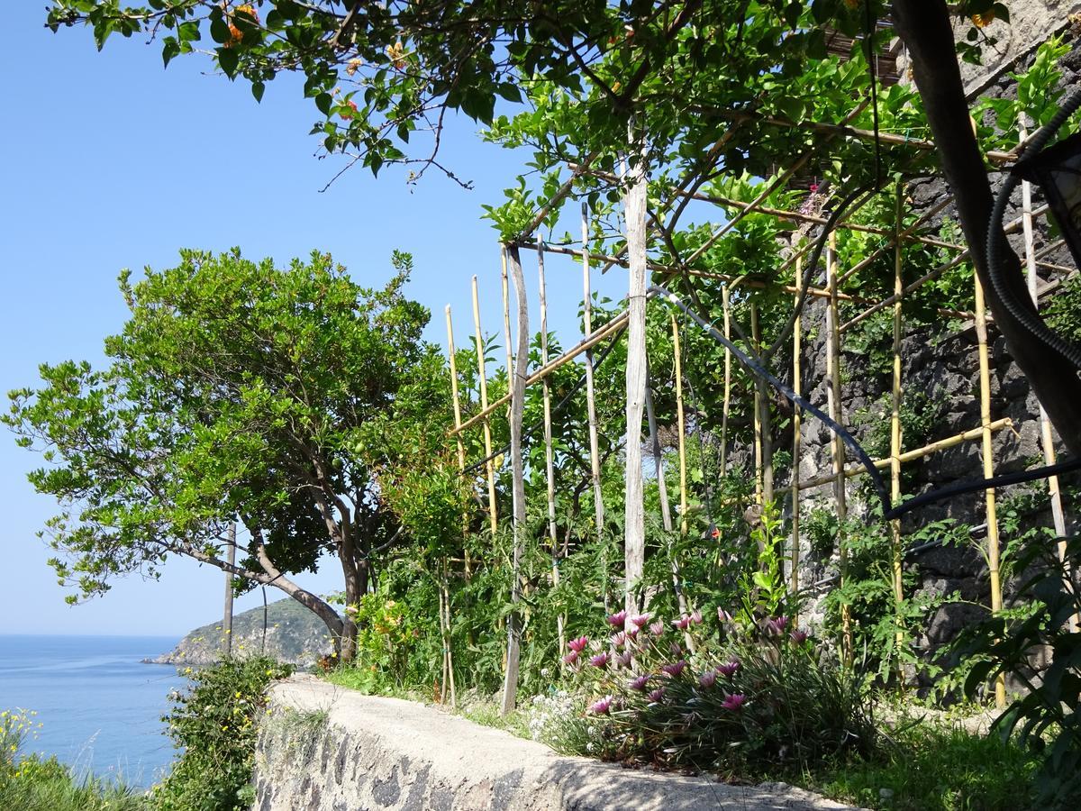 Casa Antonio Bed & Breakfast Barano d'Ischia Bagian luar foto