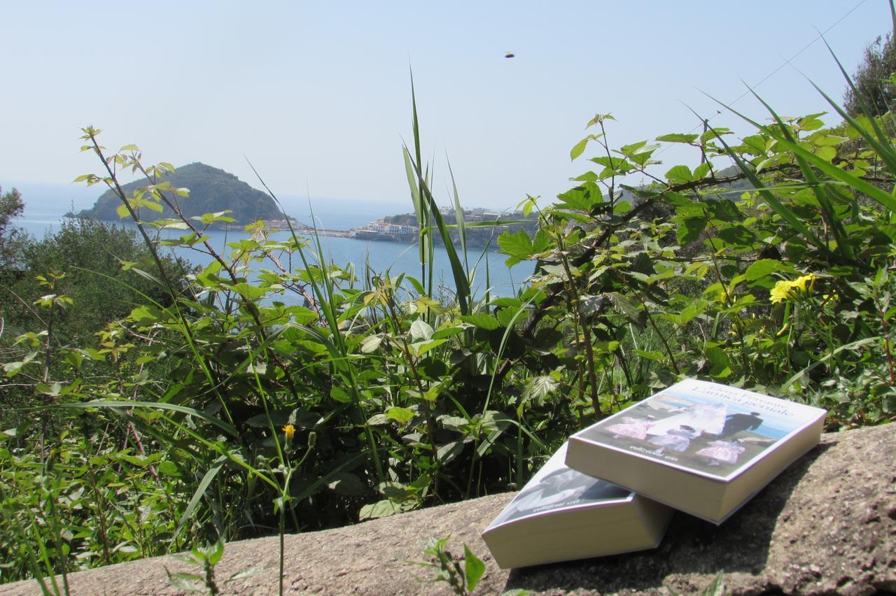 Casa Antonio Bed & Breakfast Barano d'Ischia Bagian luar foto